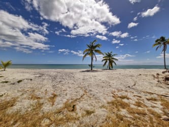 White sand beach with palms in luxury Buenaventura Golf Beach Resort Panama