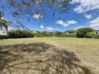 Spacious residential back yard vacant lot tropical setting in Panama