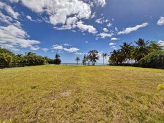 Open grassy oceanfront land with palms sand and tropical vegetation Panama