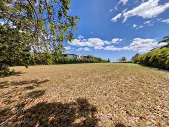 Vacant beachfront lot surrounded by lush landscaping in Panama luxury resort