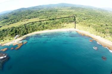 Aerial coastline land with trees and blue ocean in Palenque Colón Panama Sea
