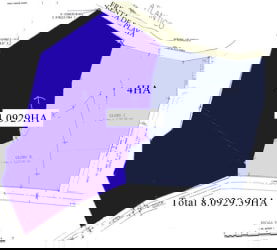 Site map showing 8.09 hectares split into two beach plots ready for project Panama Caribbean