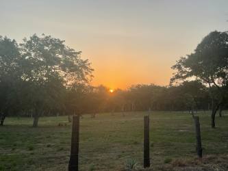 Expansive open land from aerial view showing farmland and adjacent access roads Las Uvas Panama