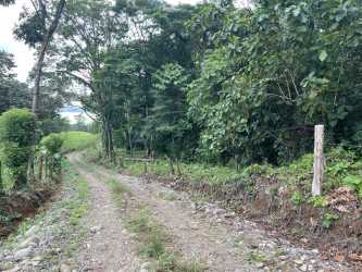 Lush forest terrain with a small creek crossing farmland near Bugaba Panama