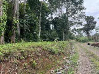 Land for Sale in Gariche - 0 bedrooms