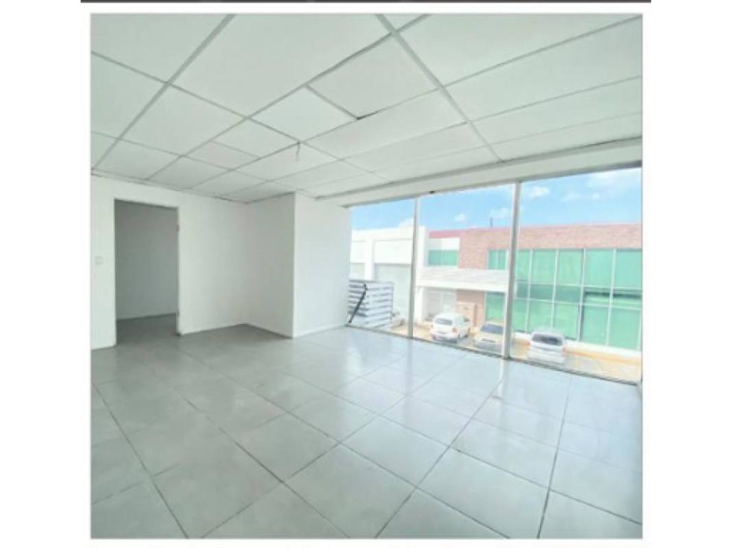 Modern office inside commercial warehouse Tocumen Panama with large windows and tiled floor