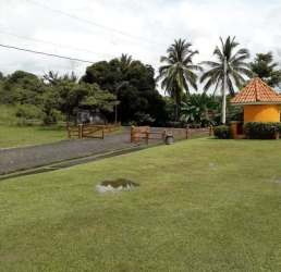 Tropical landscaped entrance with lawn, palm trees and driveway in Quebradas de El Valle community