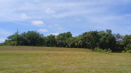 Expansive grassy land with tree-lined border in secure residential Quebradas de El Valle Panama