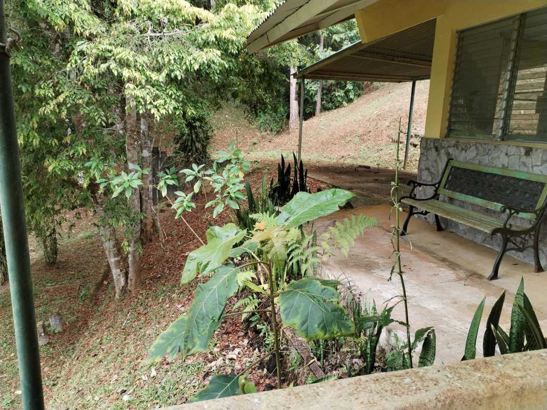 Rustic cottage style home with stone accents on yellow facade surrounded by nature Cerro Azul mountain property