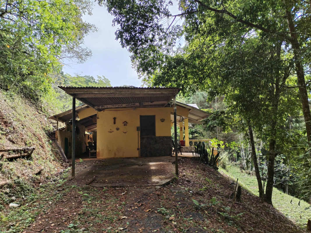 Covered terrace porch overlooking garden forest views Panama mountain retreat Cerro Azul