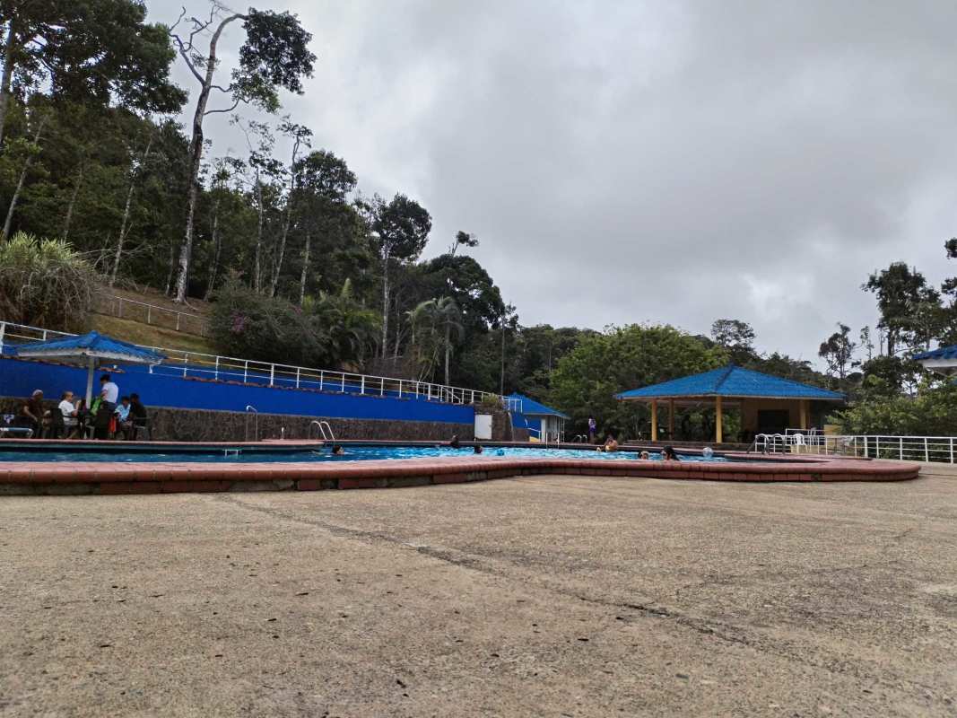 Outdoor swimming pool surrounded by forest at Altos del Alcázar Cerro Azul Panama amenities mountain community