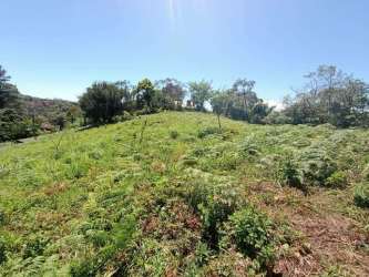 Open grassy hillside with trees and blue sky, mountain lot in Boquete