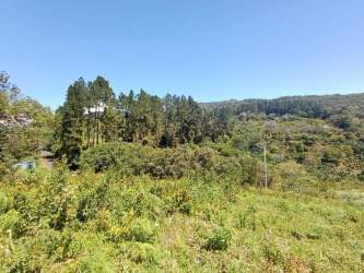 Vacant forested land with natural greenery and open landscape in Boquete Panama