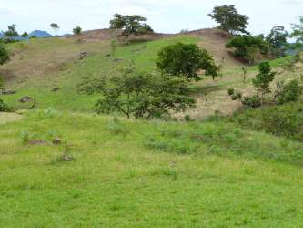Open rolling green hills with mountain backdrop Coclé Highlands Panama natural scenery
