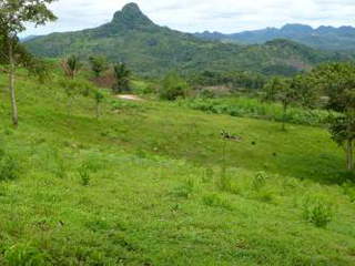 Land for Sale in La Pintada - 3 bedrooms