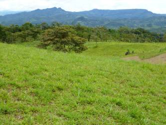 Wide-open grassy mountain pastures with tree clusters scenic mountain backdrop Coclé Panama