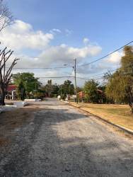 Quiet tree-lined street inside Coronado Equestrian Club Panama