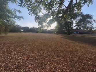 690m2 flat lot with trees for sale in Coronado Equestrian Club Panama