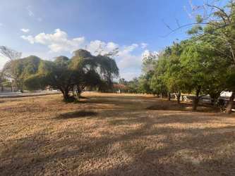 Large open lot with mature trees in private Coronado development in Panama