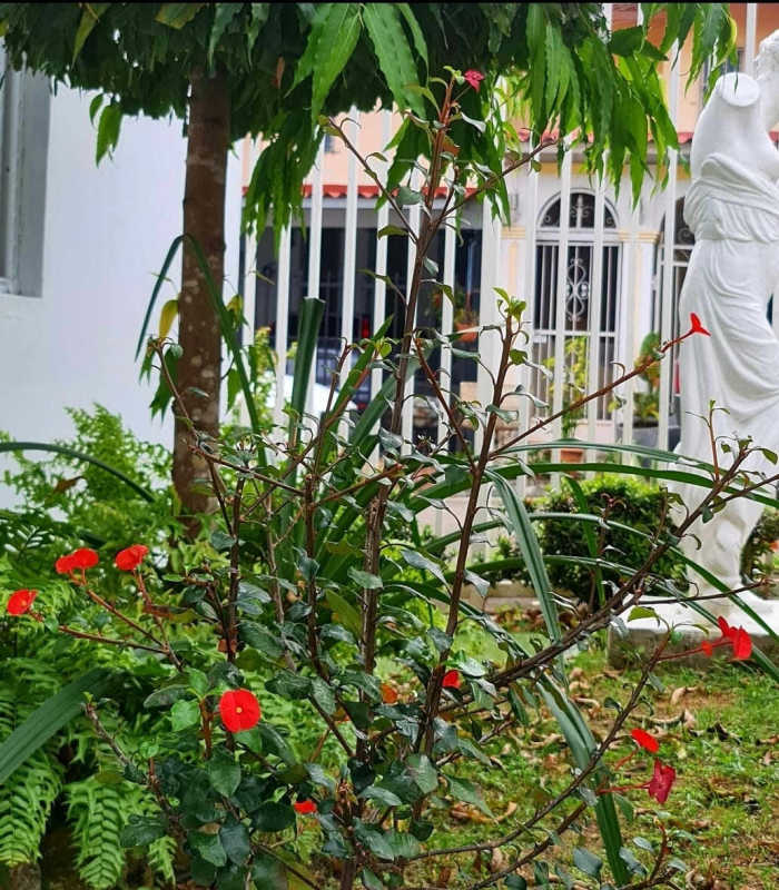 Traditional kitchen with wooden cabinets, granite counter, double sink, refrigerator in gated home in Condado del Rey Panama City