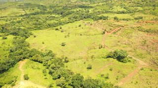 Farm / Agricultural Land for Sale in Natá - 0 bedrooms