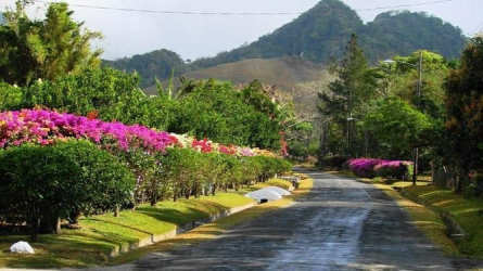 Paved residential road with lush tropical gardens and mountain views in El Valle Panama