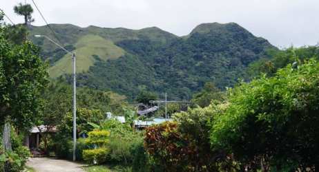 Paved road surrounded by greenery leading to lot in Aires del Gaital El Valle Panama