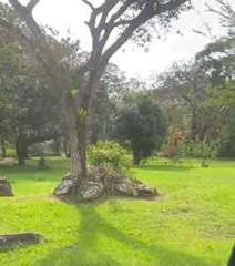 Land for Sale in Antón - 0 bedrooms