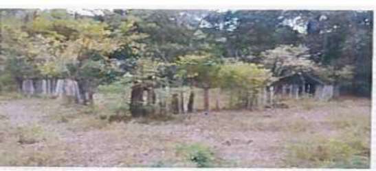 Rural Land Los Horcones Cambutal near Beaches