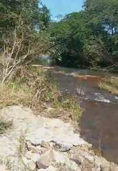 River with rocky bank and lush green trees in Coclé Panama farmland