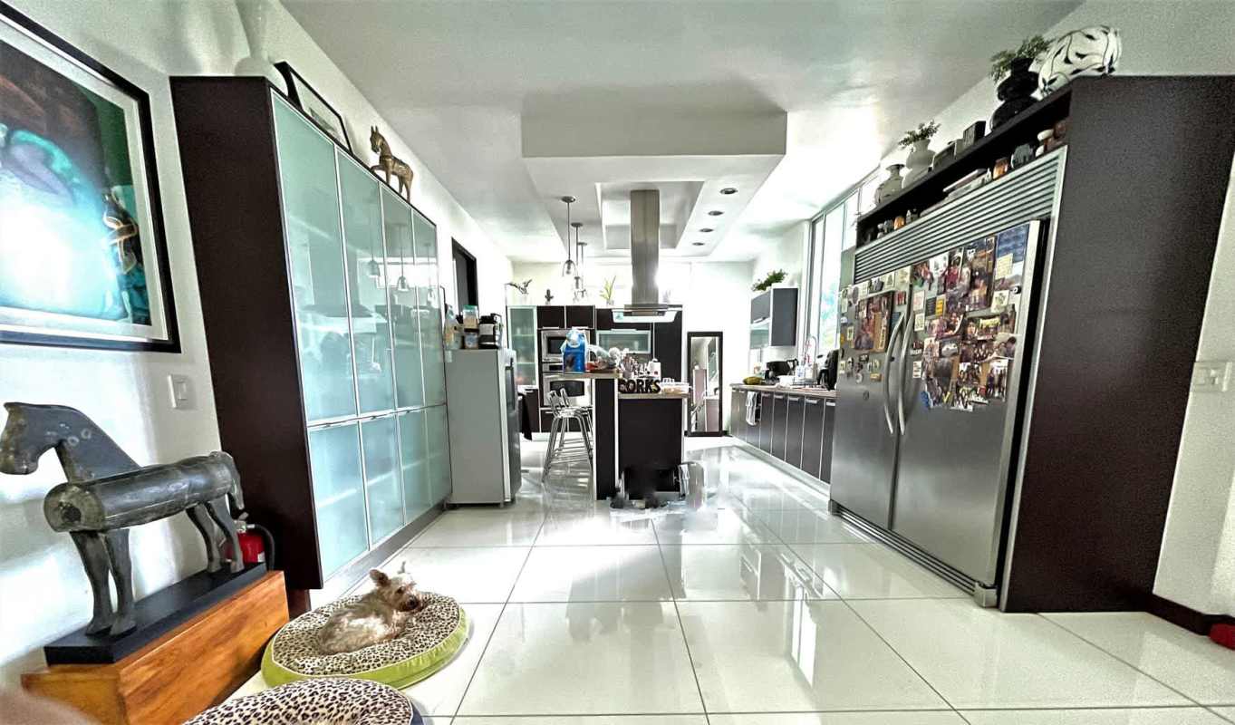 Private pool with deck and garden PH Minimal Houses Altos del Golf Panama