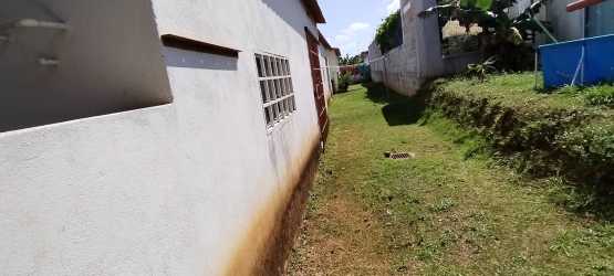 Side view yard with white wall, garden plants Cluster Los Castaños La Chorrera