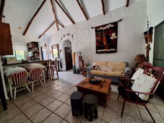 Private pool surrounded by lush tropical garden in Coronado beach house for rent