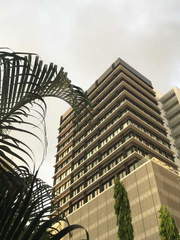 Office for Rent in San Francisco - 0 bedrooms