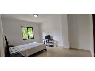 Outdoor swimming pool with palm trees in River Valley Panama Pacifico community