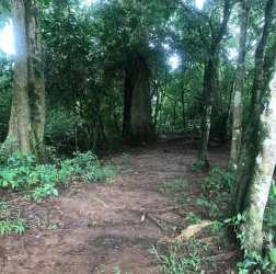 Agrotourism Farm for Sale La Chorrera Panama 12 hectares in - View 3