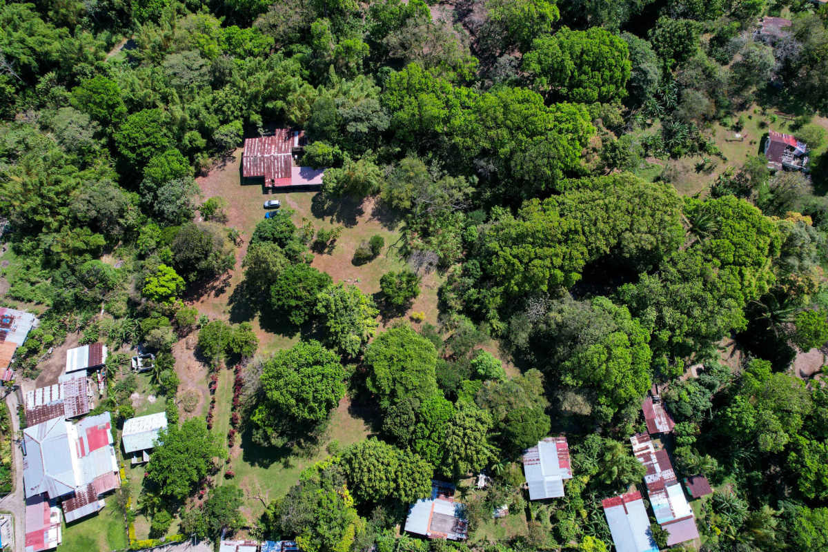 Rustic rural lot surrounded by dense trees and mountain setting in El Valle de Antón
