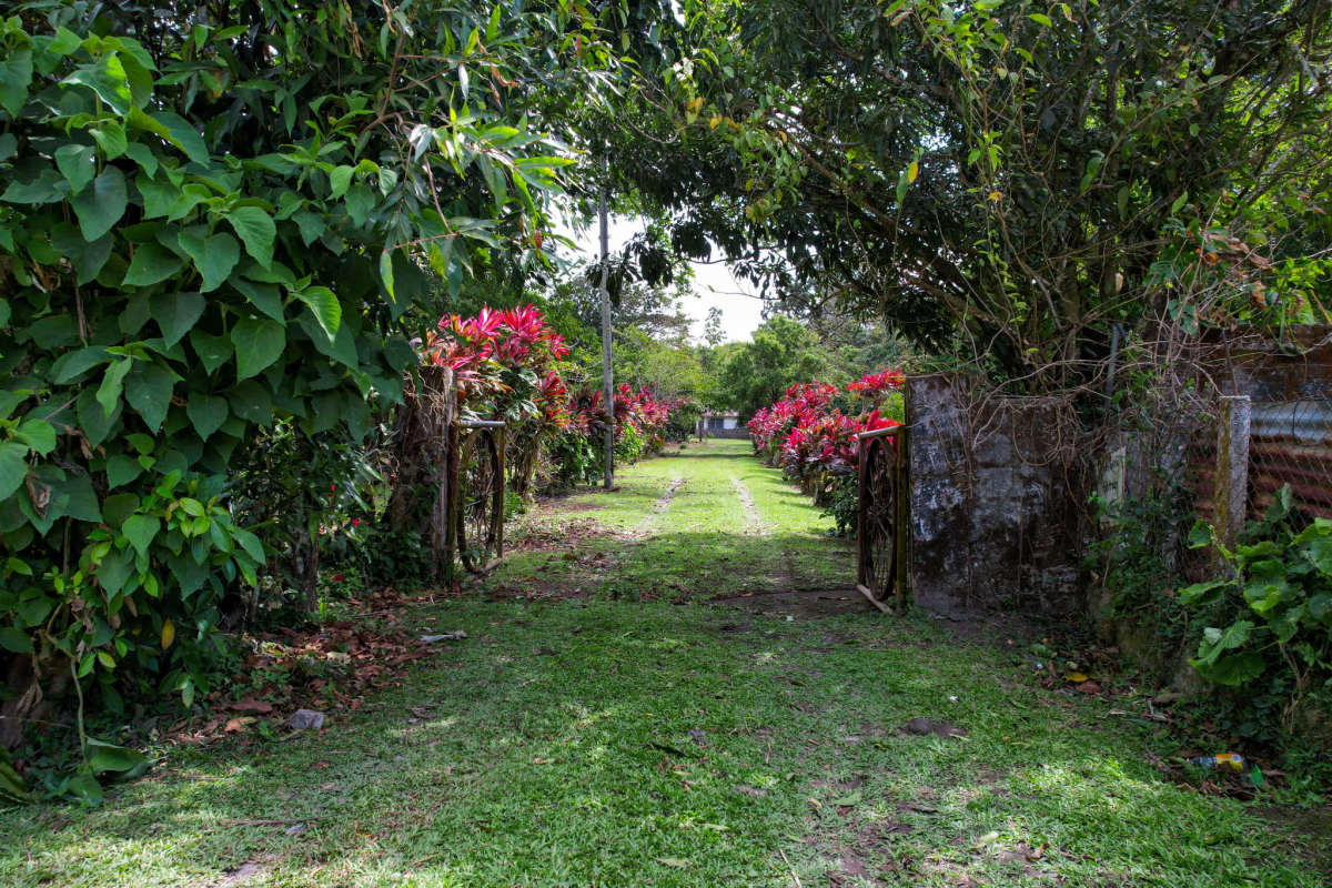 Flower-adorned garden driveway into rural mountain farm El Valle Panama