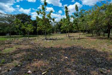 Vacant land plot by the Pacific Ocean surrounded by coastal greenery in Santa Clara Panama