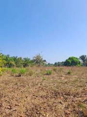 Agricultural Land for Sale in Barú - 0 bedrooms