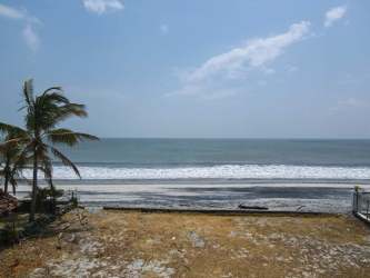Palm trees line sandy beach with ocean view in Nueva Gorgona Panama