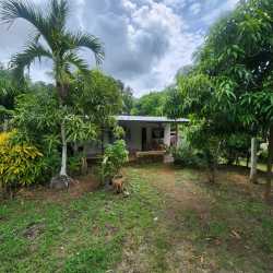 Spacious rustic backyard with garden trees and covered porch Guararé Los Santos Panama