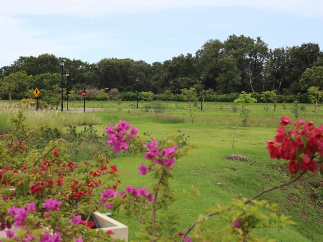 Vacant land surrounded by mature trees within Santa María Golf community