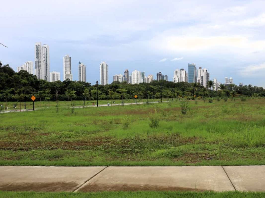 Green golf fairway with future luxury housing sites at Santa María Panama City