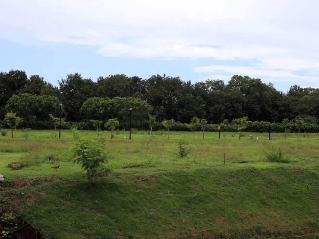 Flat buildable plot of land with natural landscape inside Santa María