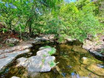 Lush mature forest area on titled estate for sale in Chame Panama
