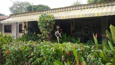 Lush garden landscaping detail Penonomé Coclé property for sale Panama