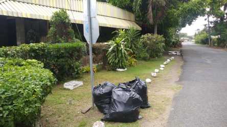 Street corner view lot with tropical landscaping Penonomé Coclé Panama for sale
