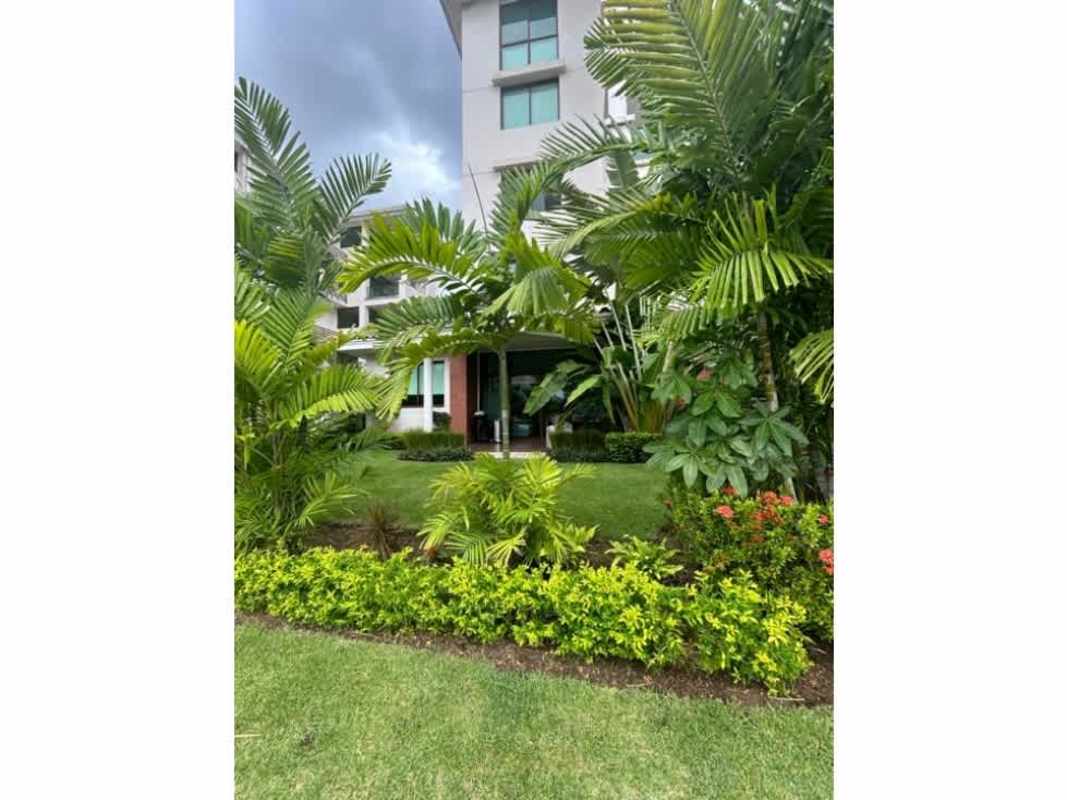 Kitchen with granite counters, cabinetry, stainless sink PH Costa Mare Costa Sur Panama