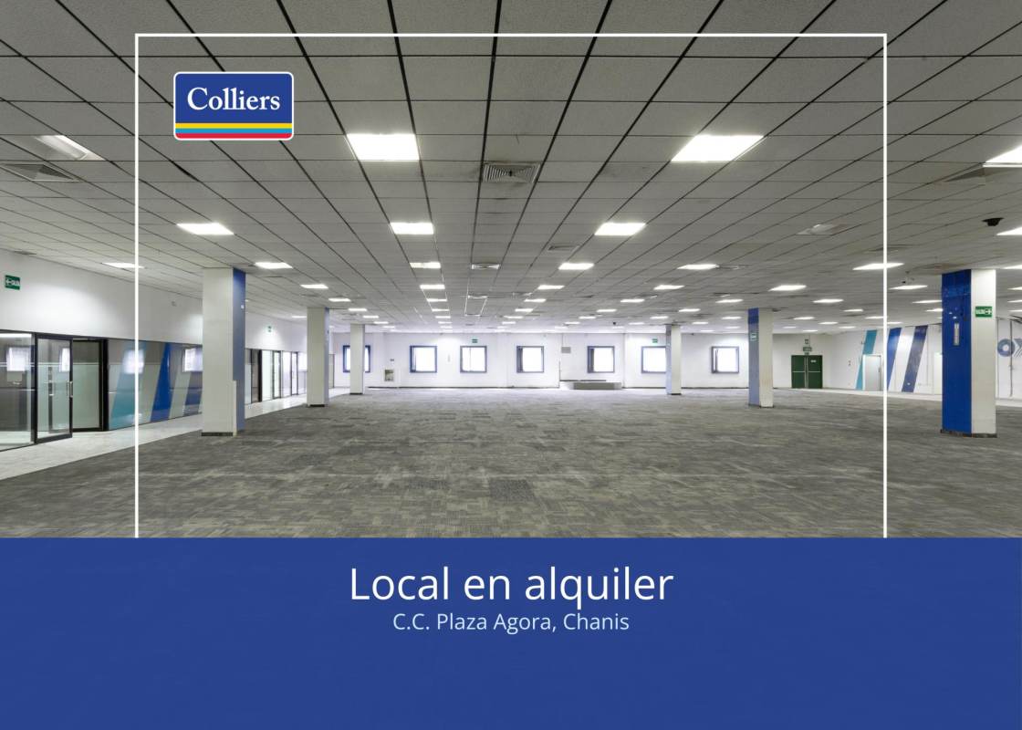 Empty commercial rental space with suspended ceiling, fluorescent lights, carpet floors and glass walls Plaza Agora Chanis Panama City